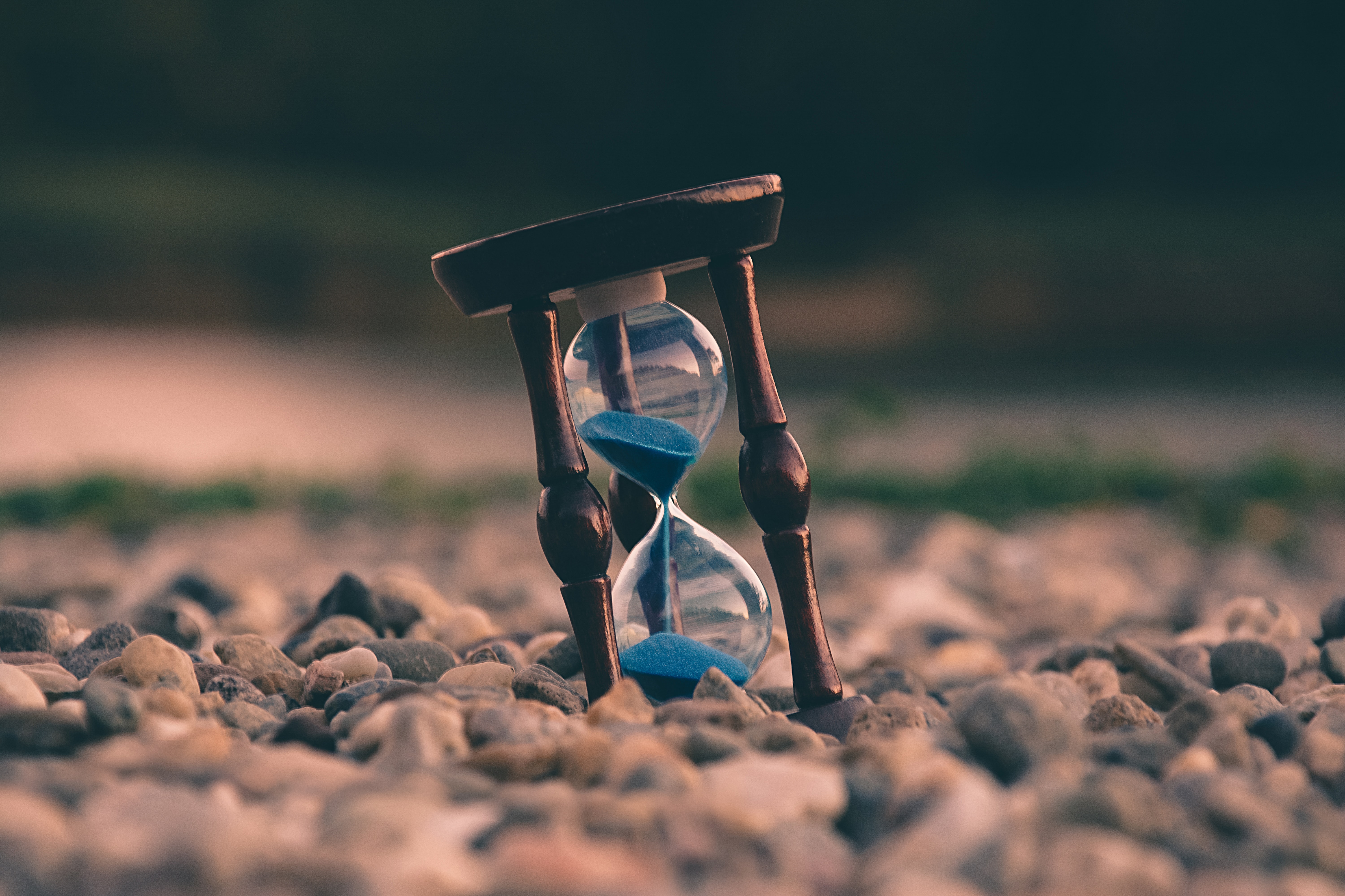 Cover Image | Dynamic Time Wraping
