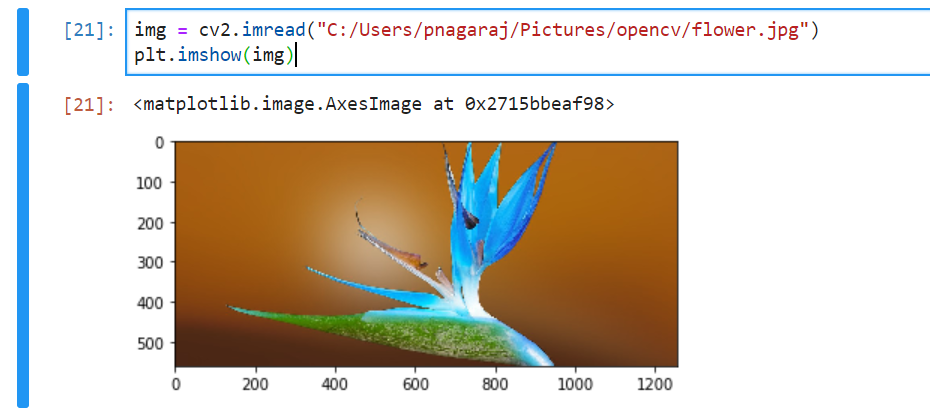 read images with opencv | Image Processing in Python