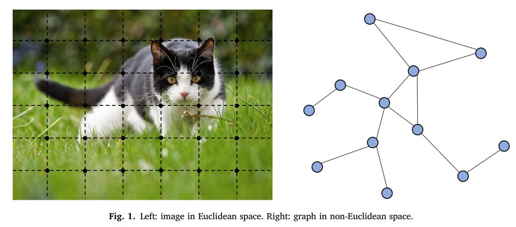 Graph Neural Network cat