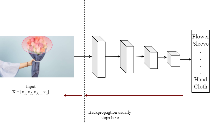 Saliency Map with Tensorflow