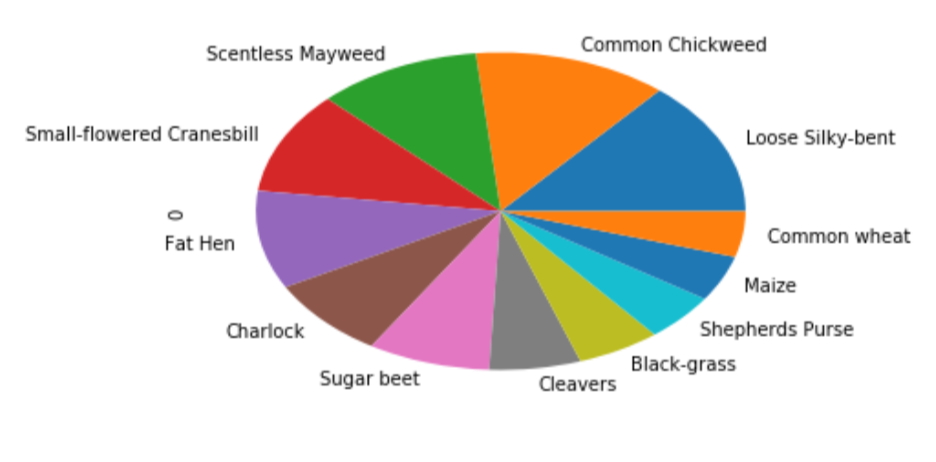 plant seedlings Classification Using CNN | class pie chart