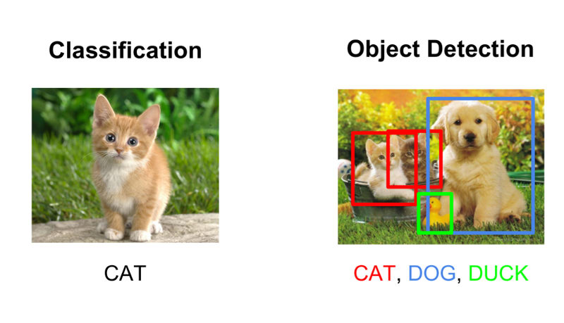 object detection | Convolutional Neural Networks