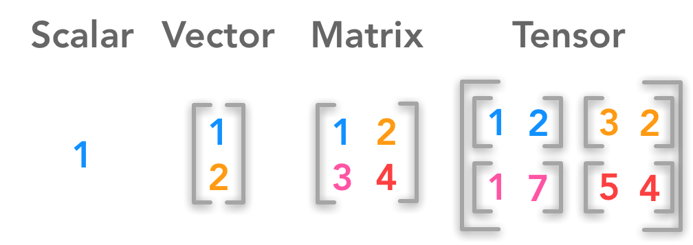 Scalar | Vector | Matrix | Tensor 