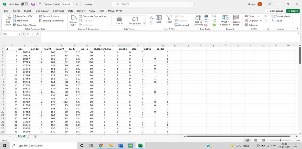 data analyst excel assignment