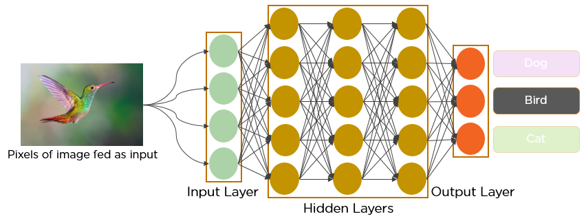 Convolutional Neural Networks (CNN / ConvNet) in computer vision applications | deep learaning
