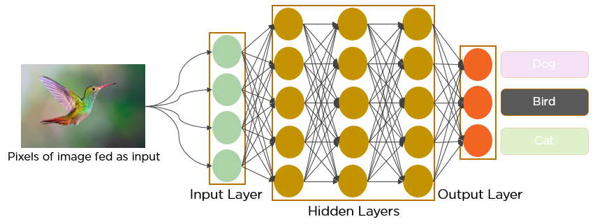 Deep learning hot sale network