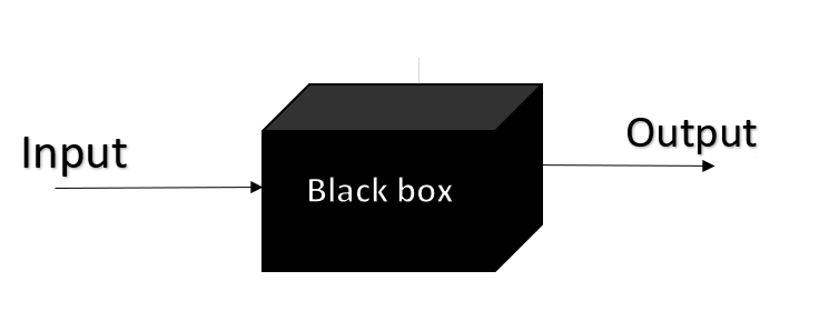 Black Box Model