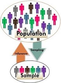diverse demographic categories