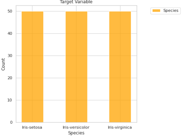 Machine Learning Pipeline 