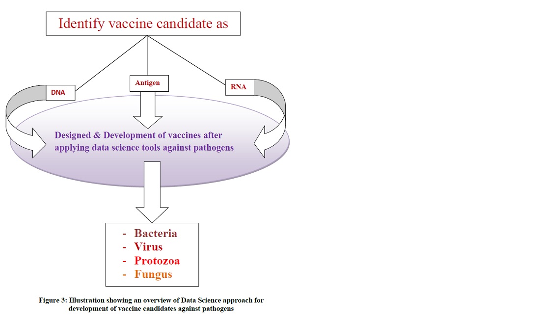 identify Vaccine candidate 