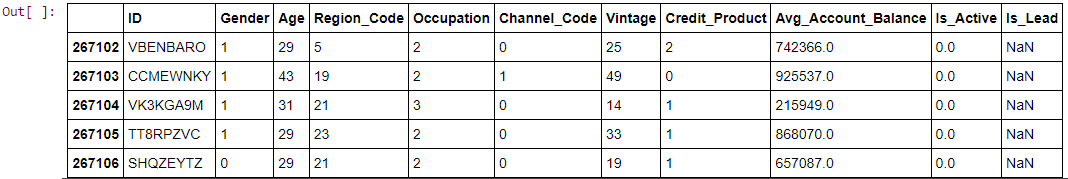 Credit Card Lead Prediction using LGBM Classification model