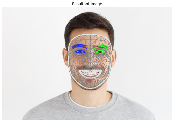 Facial Landmarks Detection