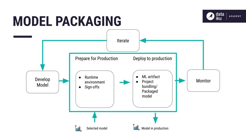 Ways of Packaging ML Models