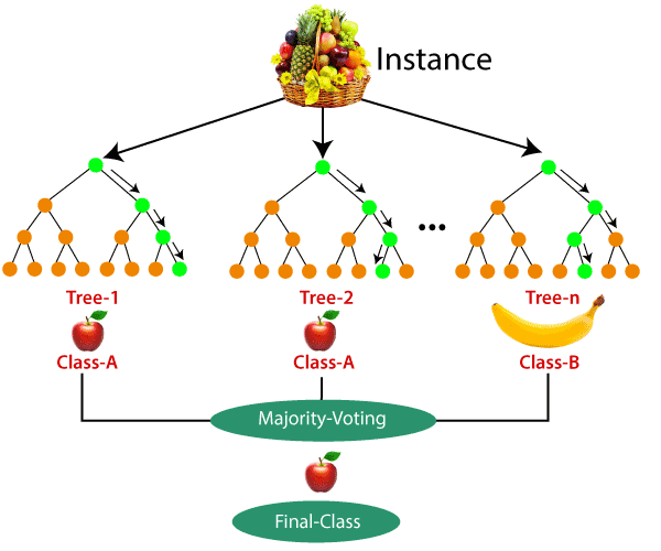 random forest assignment github