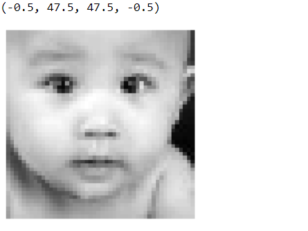 Reshaped image | Age and Gender Detection