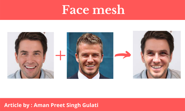 Face landmarks calculated with Face Mesh as default (adapted from [20]).