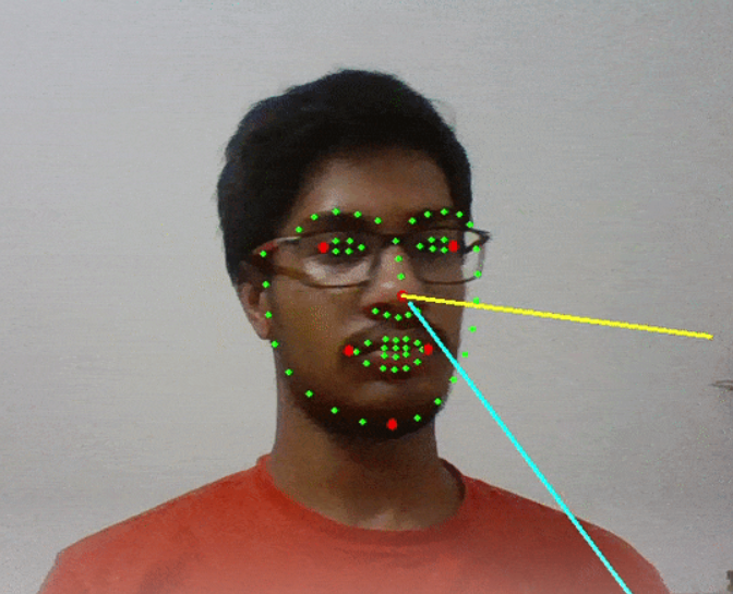 Facial landmark detection | head pose estimation