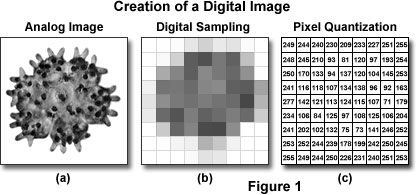 creation of digital image | Image Processing in Python