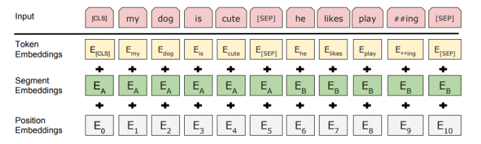  Data Format Google's BERT 