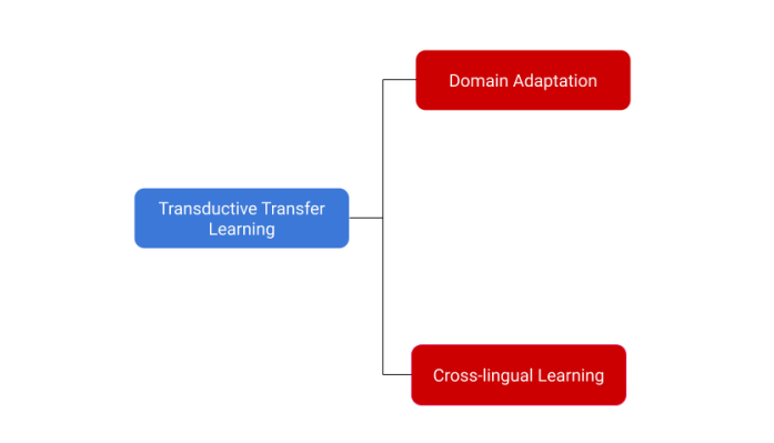 transductive transfer learning