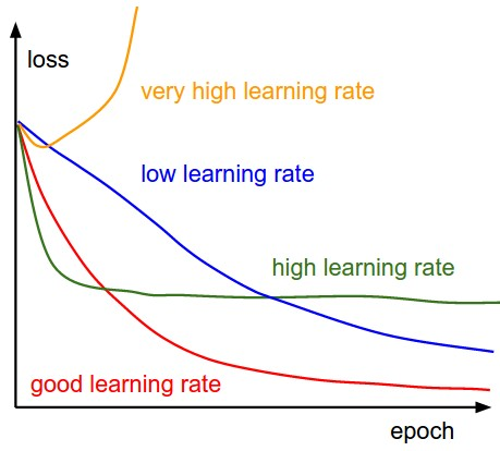 Alpha - The Learning Rate