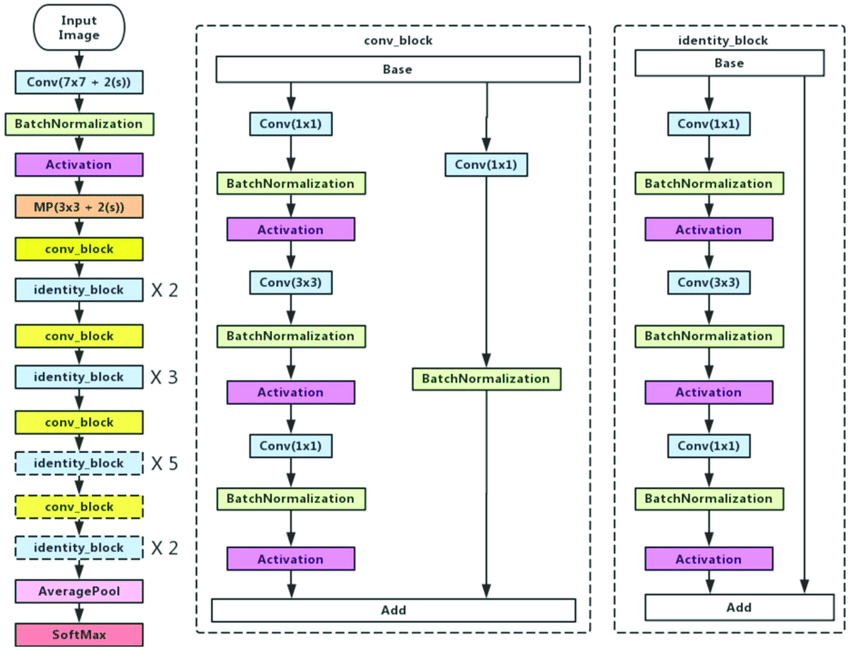 input image -Transfer learning with TensorFlow