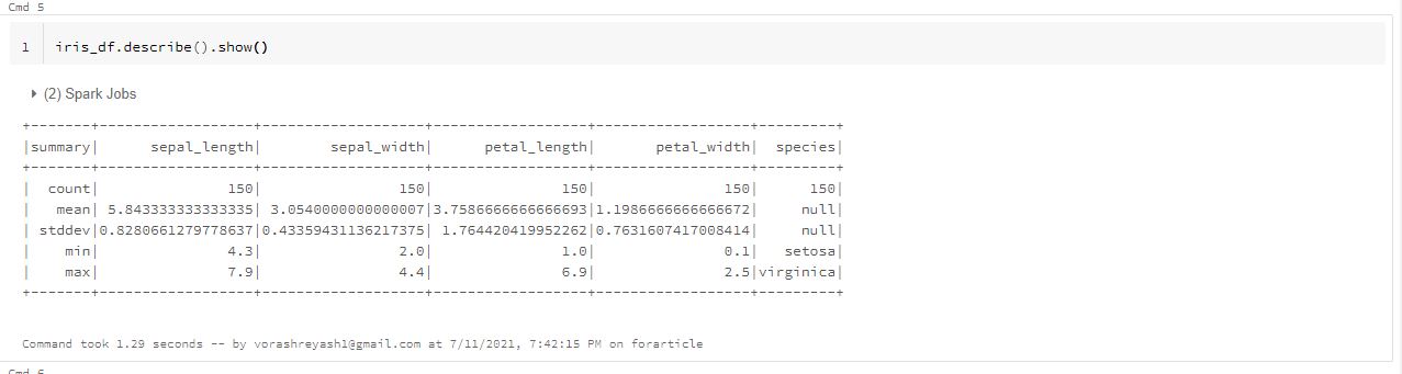 describe dataset | apache spark