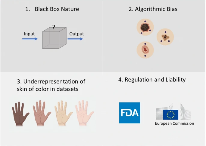 neglecting data bias