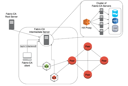 HyperLedger Fabric workflow