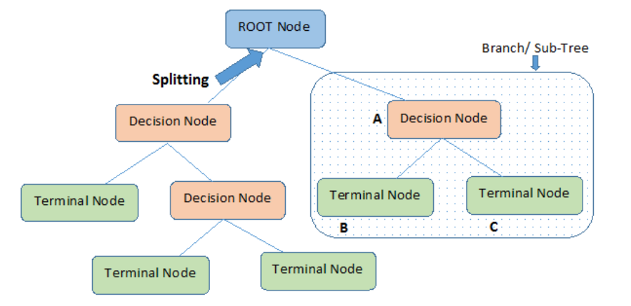 branch Decision tree algorithm