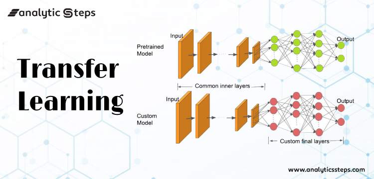    How Transfer Learning Works