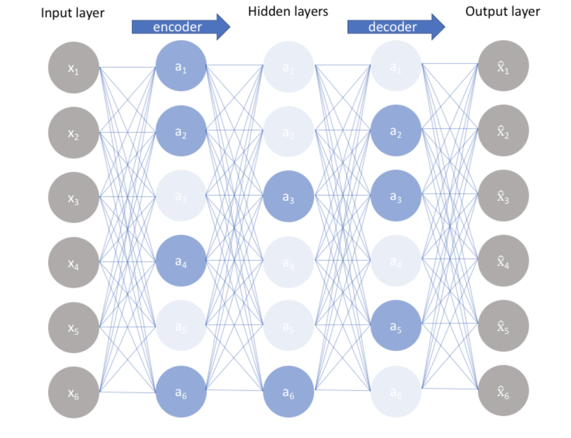 All you Need to Know About AutoEncoders in 2024