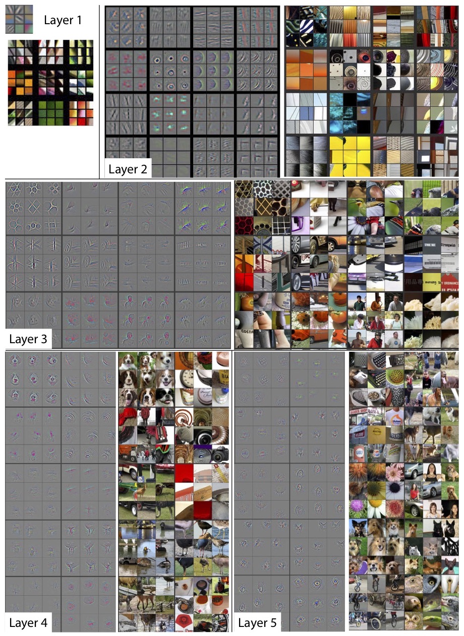 5 layers of CNN | computer vision applications, convolutional neural networks