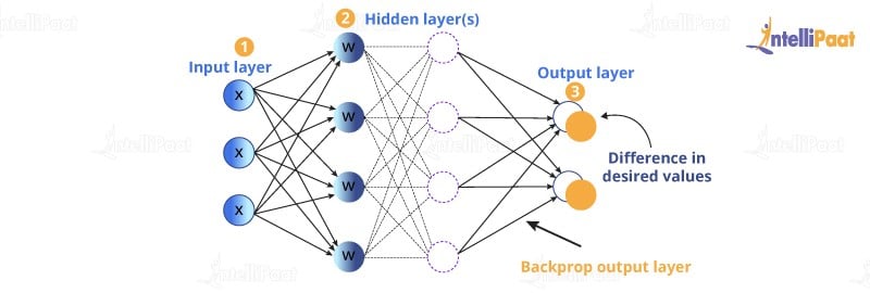 back propagation