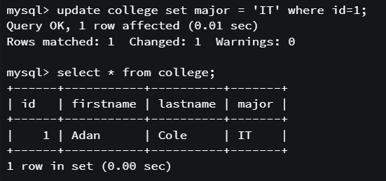 Update | SQL Queries