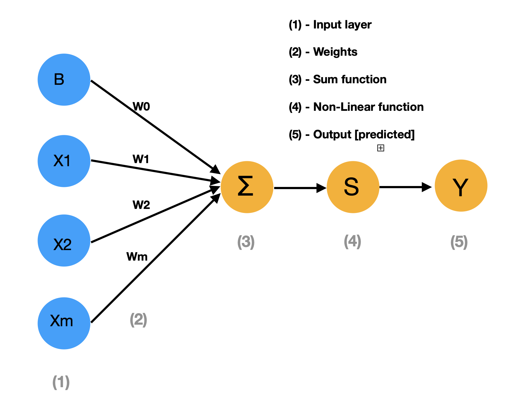 Introduction to Neural Network in Deep Learning - Analytics Vidhya