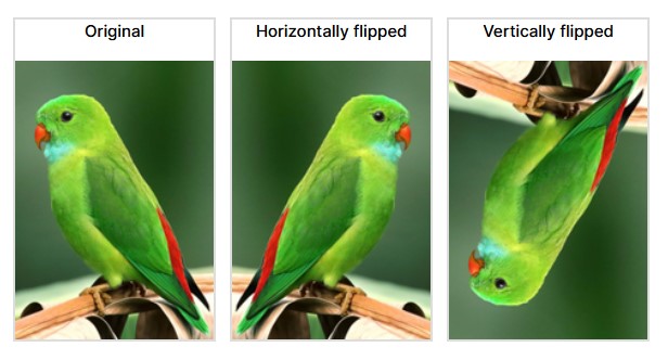 Image Flipping | Data Augmentation 