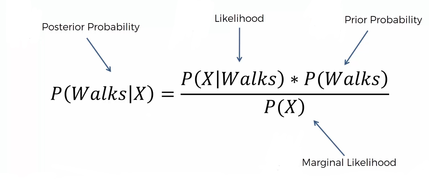 conditional probability