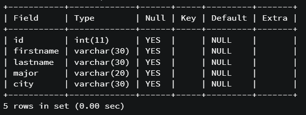 SQL Queries