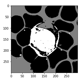 Apply k-means Clustering on the Image 4