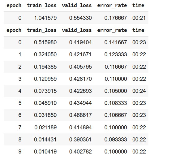 Image Classifier using fastai