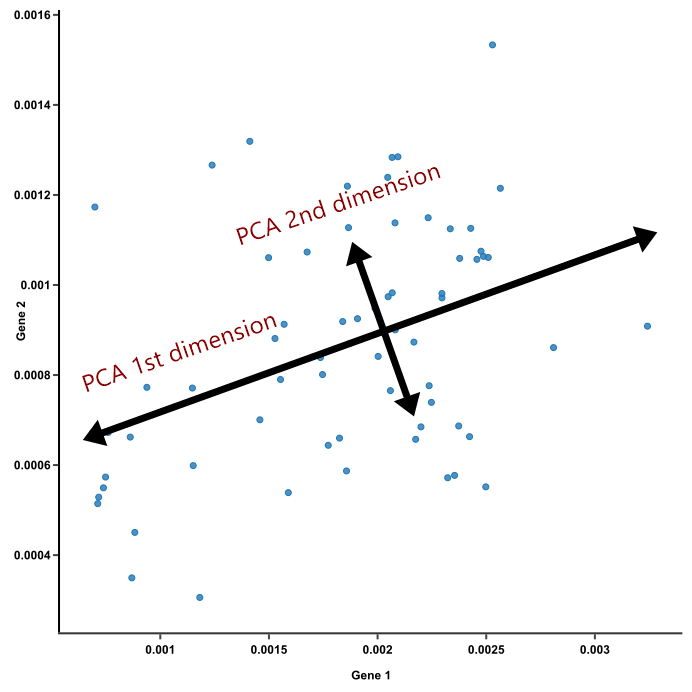 dimension,feature extraction in machine learning