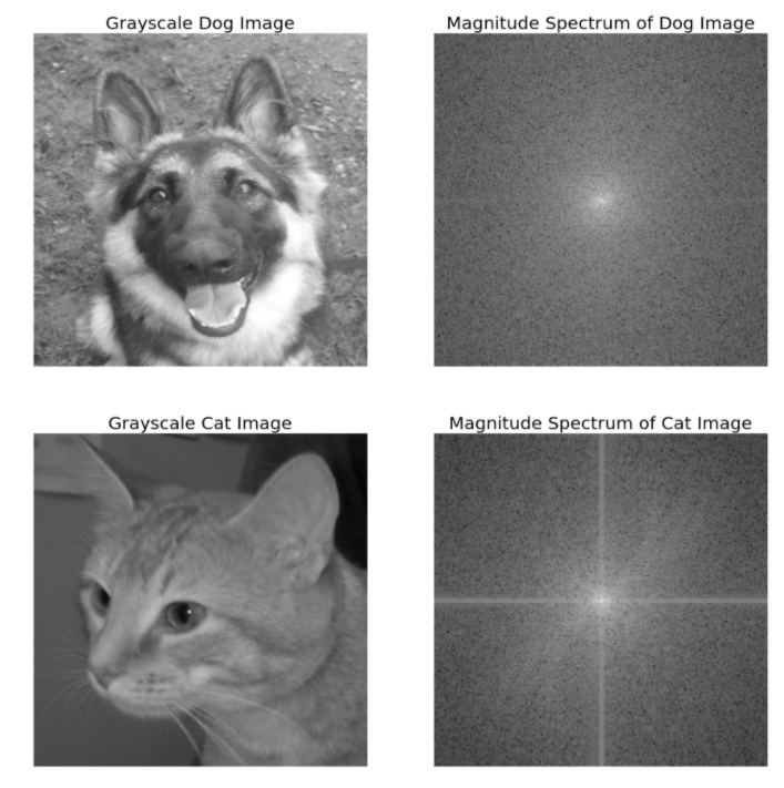 computer vision using opencv | magnitude spectrum
