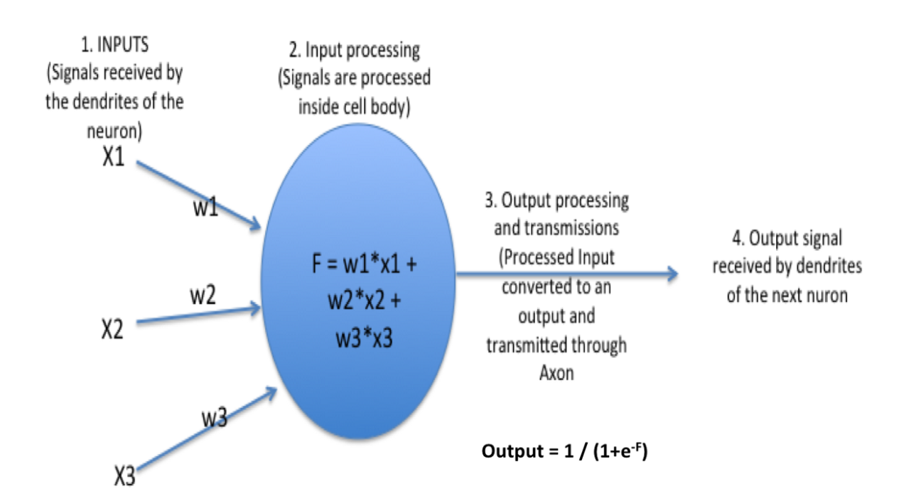 About Perceptron ANN