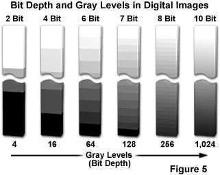 grey level in digital images