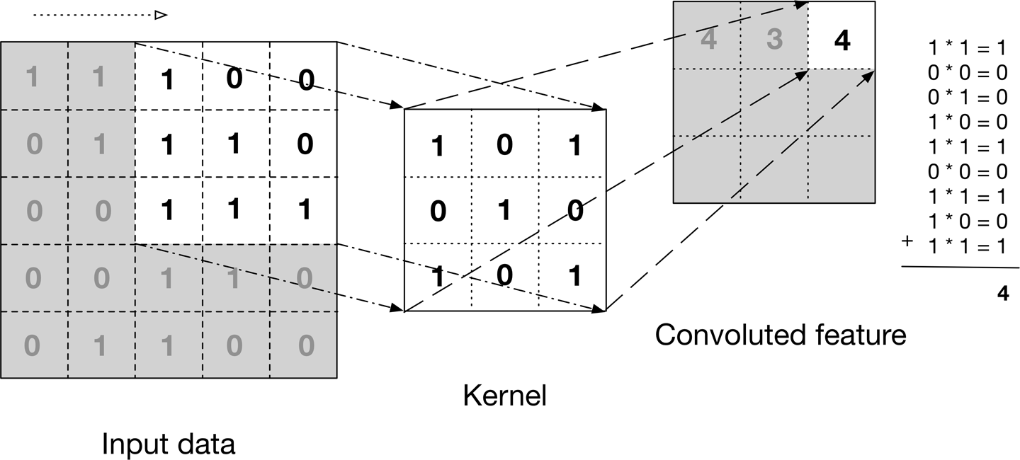 Grayscale image | Computer vision | CNN