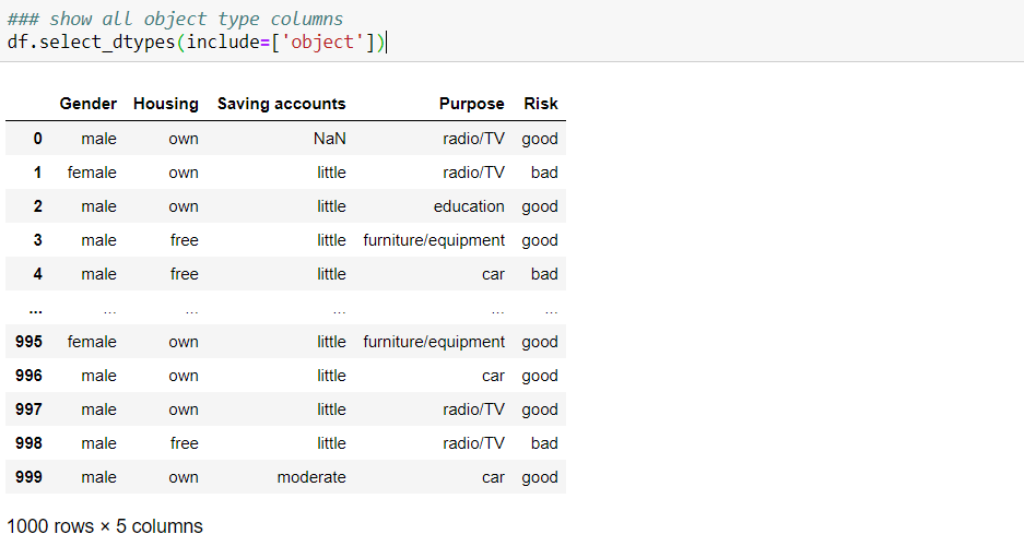 Data Exploration - object data type