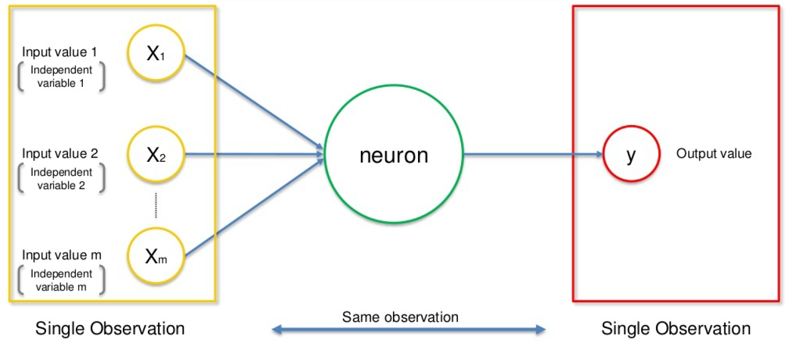 input neuron output Artificial neural networks