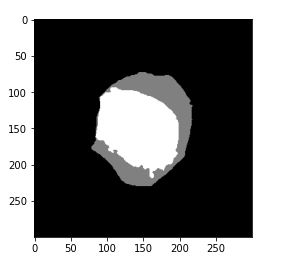 Data Exploration Image 2