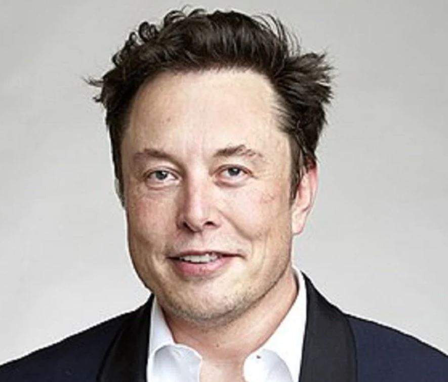 Input Image - Elon Musk